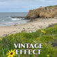 Crystal Cove State Park Poster-WPA (Yellow Flowers)