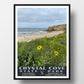 Cystal Cove State Park Poster