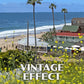 Crystal Cove State Park Poster-WPA (Yellow Flowers and Buildings)