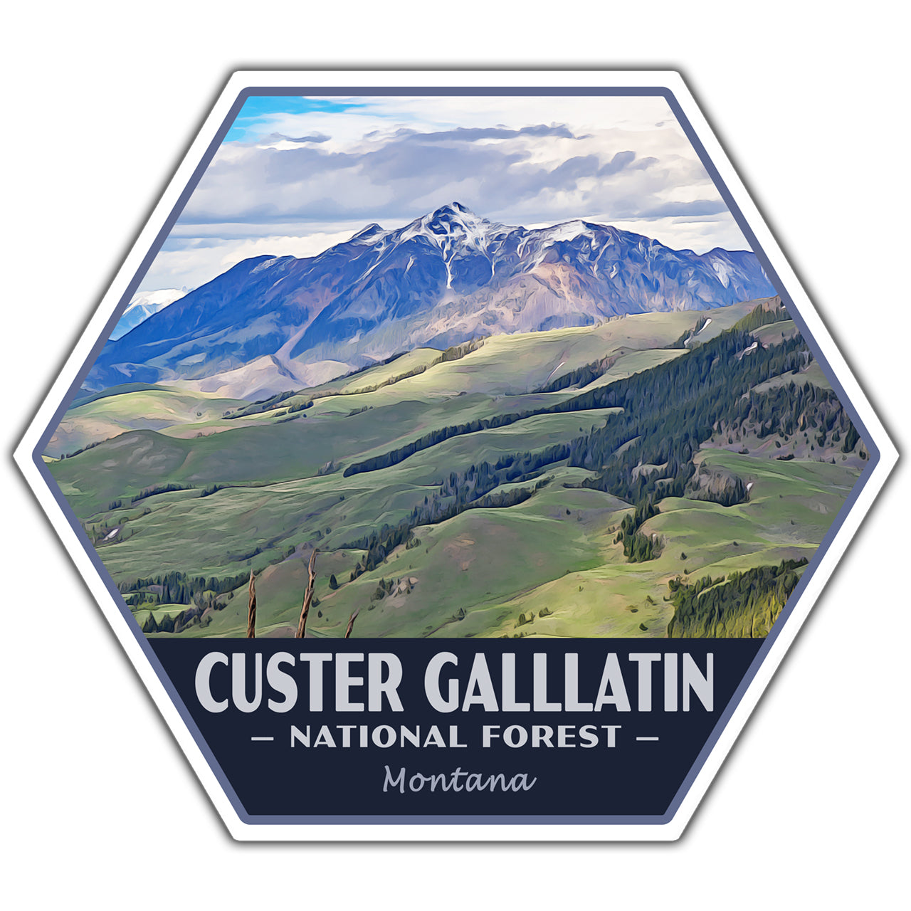 Custer Gallatin national forest sticker
