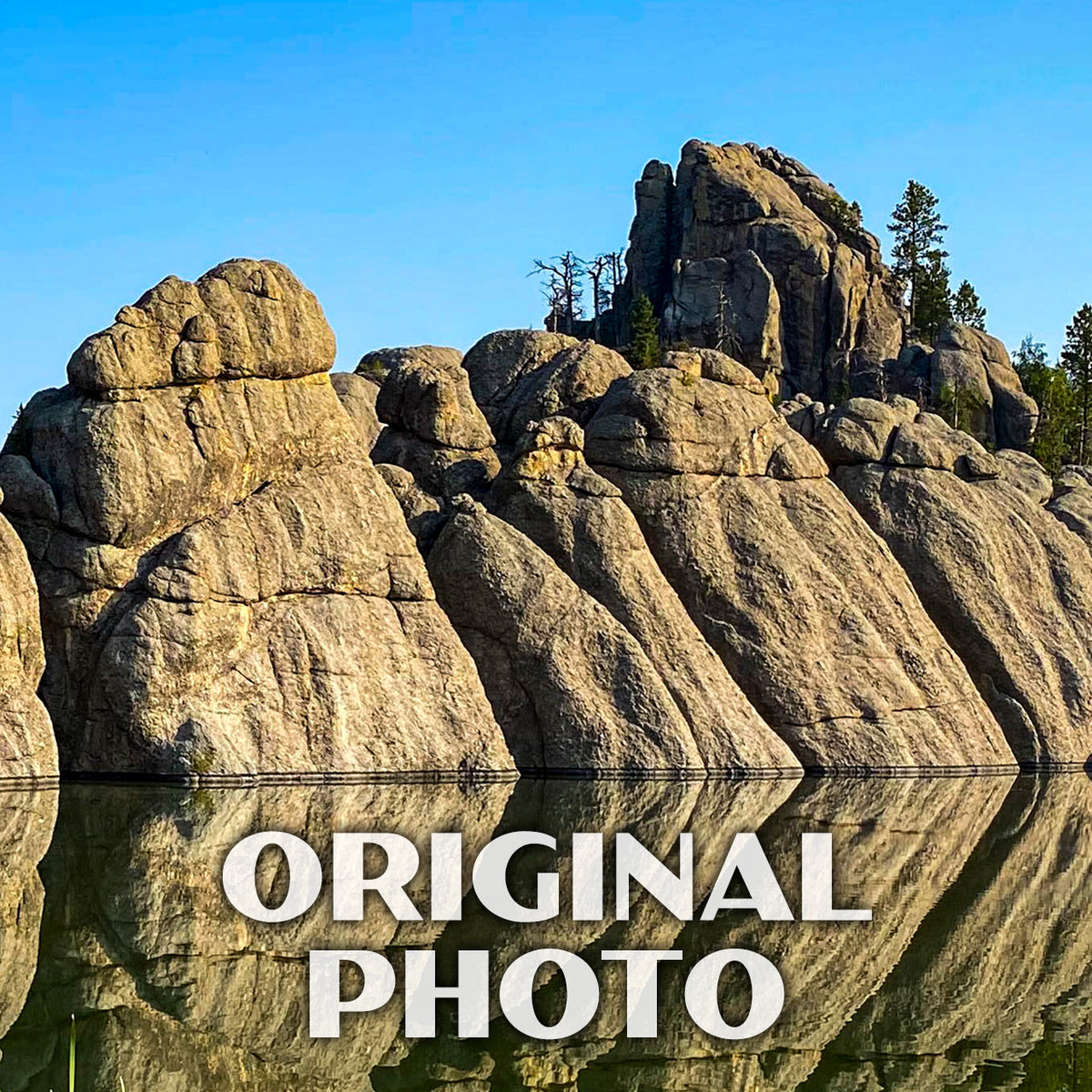 Custer State Park Logo How To Have An Epic Day At Custer State Park