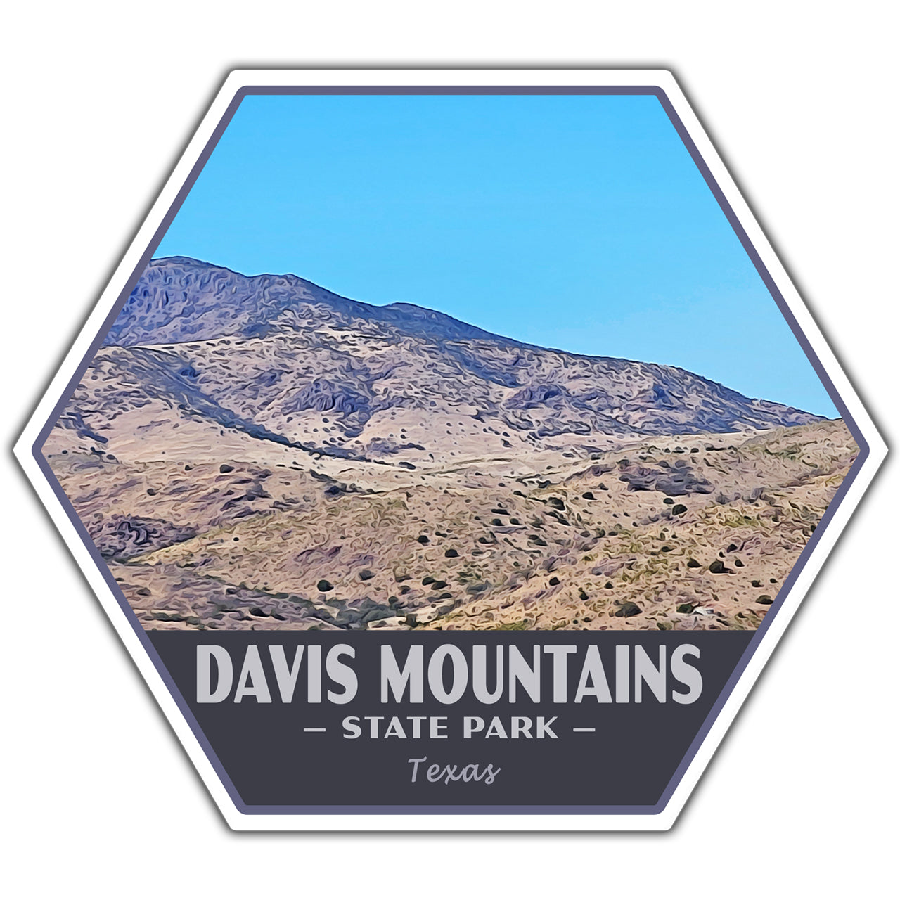 Davis Mountains state park sticker