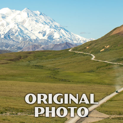 Denali National Park Poster-WPA (Denali Road 2)
