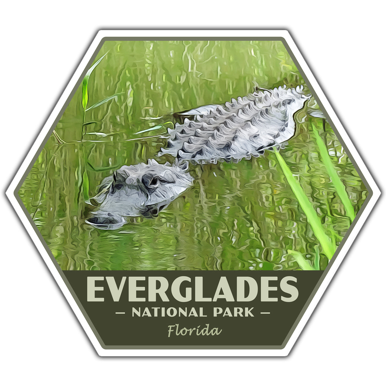everglades national park sticker