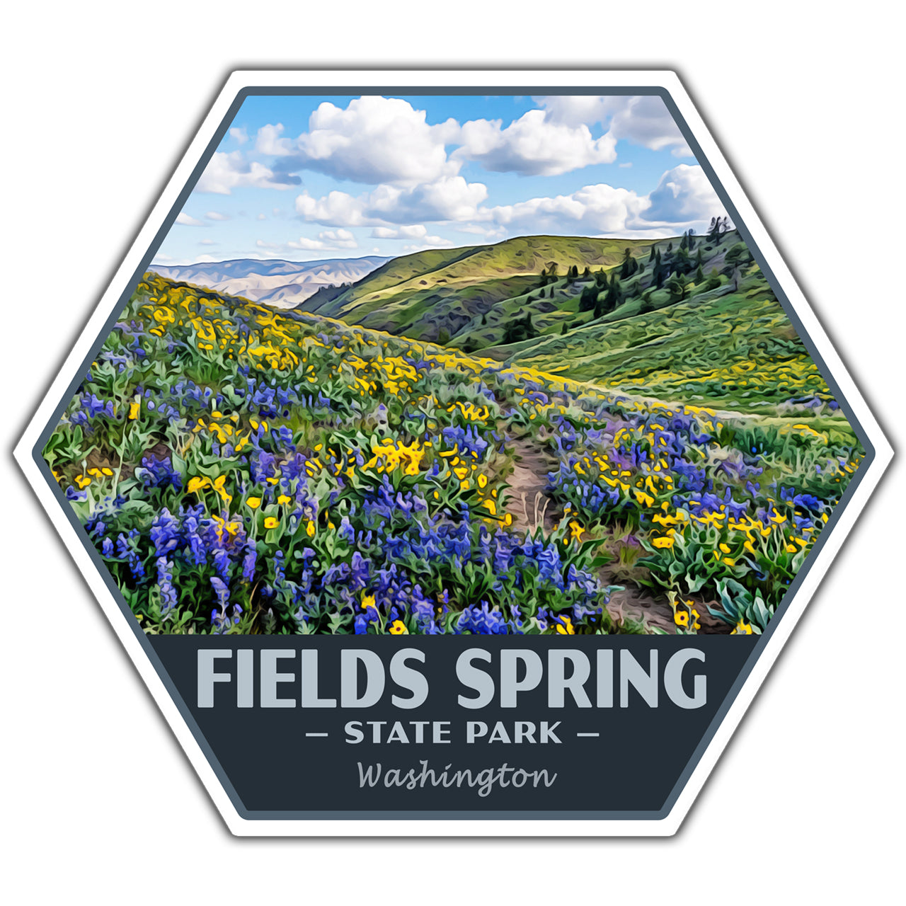 Fields Spring state park sticker
