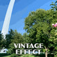 Gateway Arch National Park Poster-WPA (Summer Foliage)