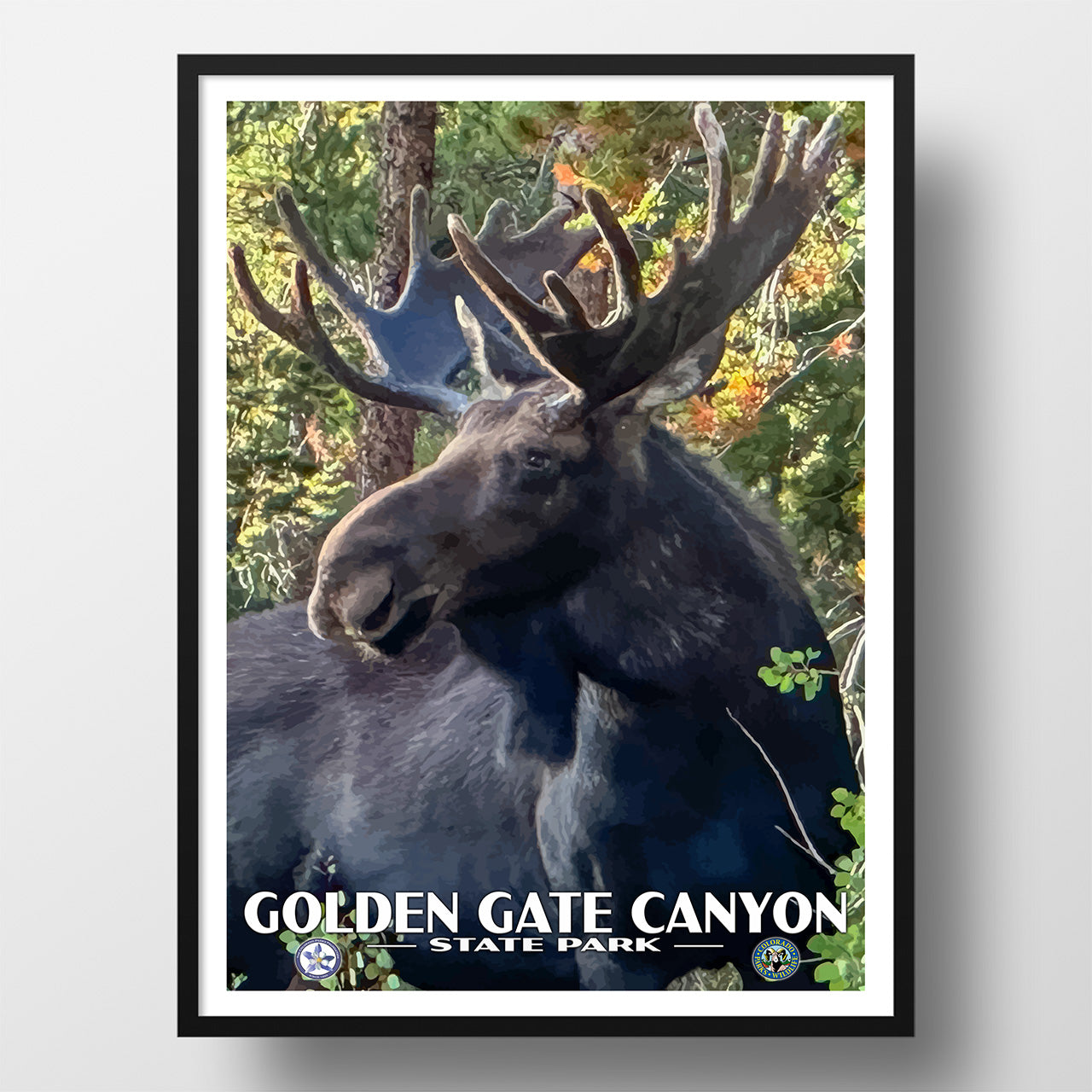 Poster of a moose with large antlers in a forest, featuring 'Golden Gate Canyon State Park' text.