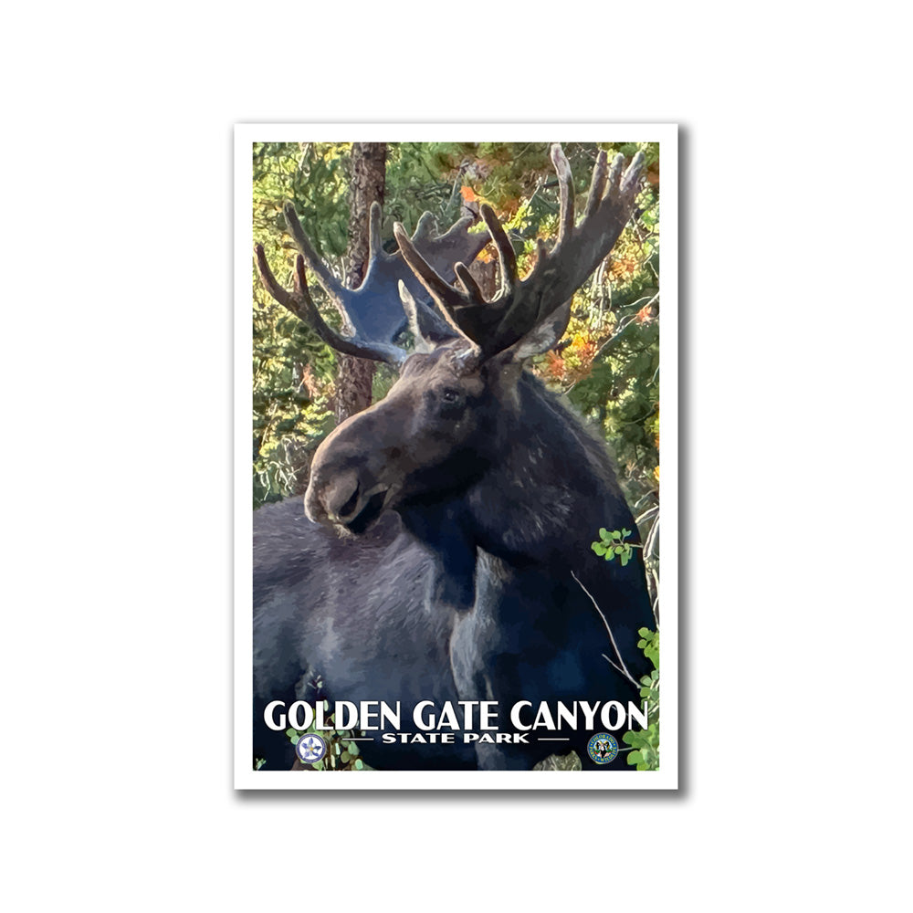 Poster of a moose in a forest with 'Golden Gate Canyon State Park' text.