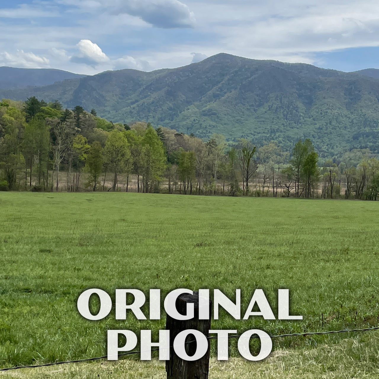 Great Smoky Mountains National Park Poster-WPA (Cades Cove)