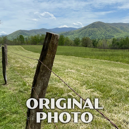 Great Smoky Mountains National Park Poster-WPA (Cades Cove with Road)