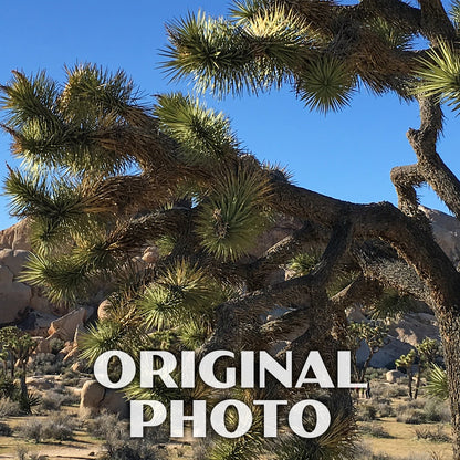 Joshua Tree National Park Poster-WPA (Hall of Horrors)