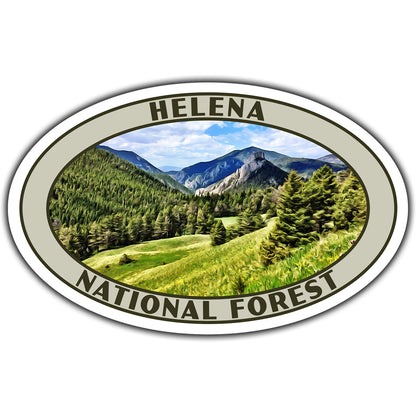 Helena national forest