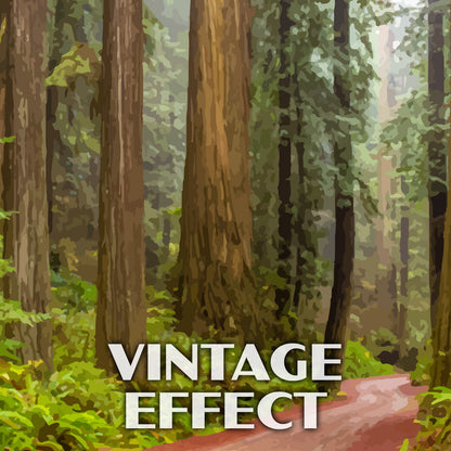 Humboldt Redwoods State Park Poster-WPA (Rockefeller Forest with Road)