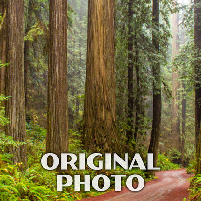 Humboldt Redwoods State Park Poster-WPA (Rockefeller Forest with Road)