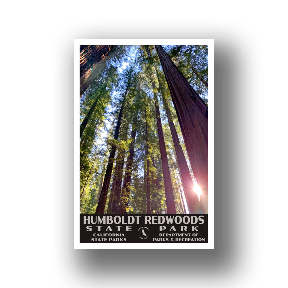 Humboldt Redwoods State Park Poster-WPA (Rockefeller Forest with Sun)