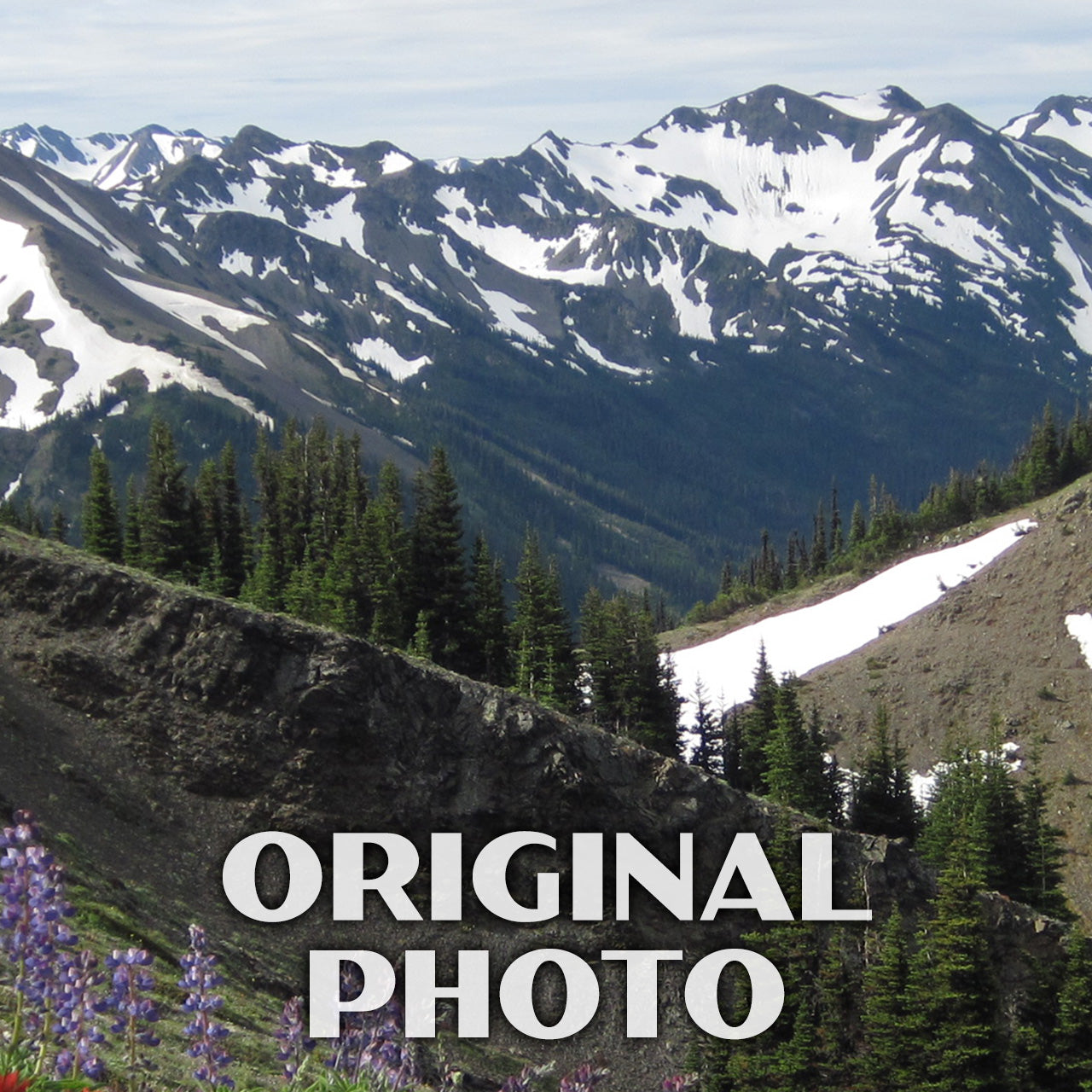 Olympic National Park Poster-WPA (Hurricane Ridge)