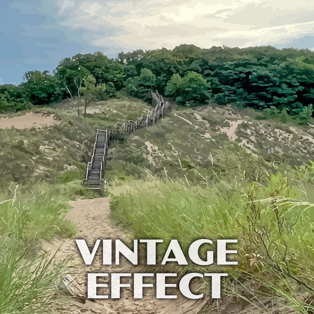 Indiana Dunes National Park Poster-WPA (Dunes Succession 2)