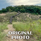 Indiana Dunes National Park Poster-WPA (Dunes Succession 2)