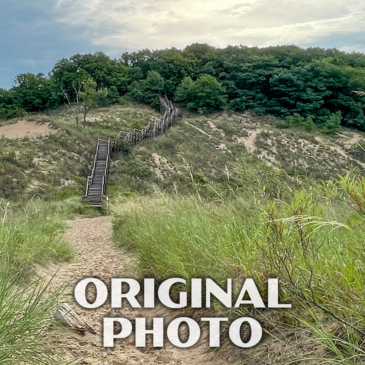 Indiana Dunes National Park Poster-WPA (Dunes Succession 2)