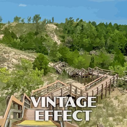 Indiana Dunes National Park Poster-WPA (Dunes Succession)