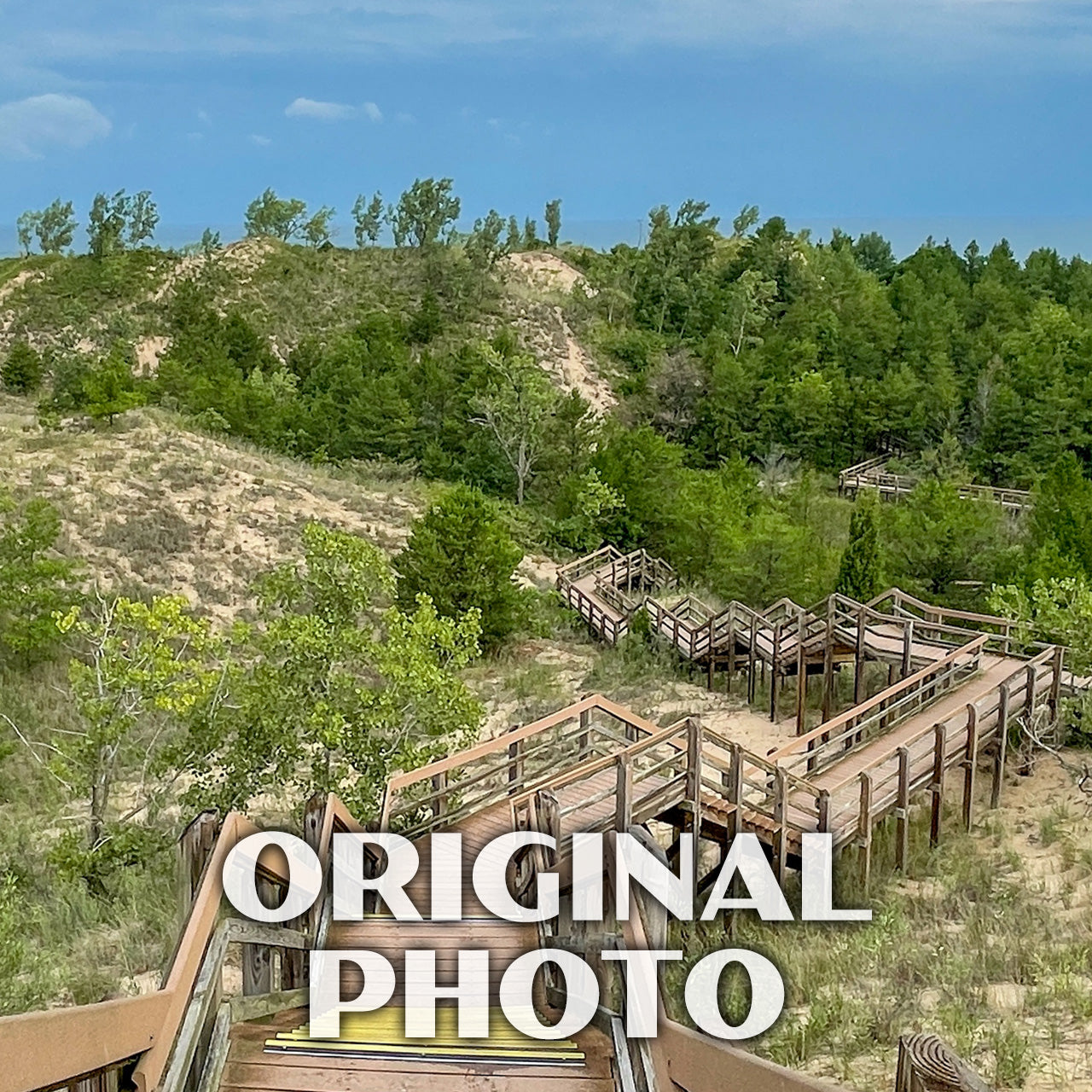 Indiana Dunes National Park Poster-WPA (Dunes Succession)