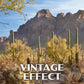 Ironwood Forest National Monument Poster-WPA (Ironwood Forest)