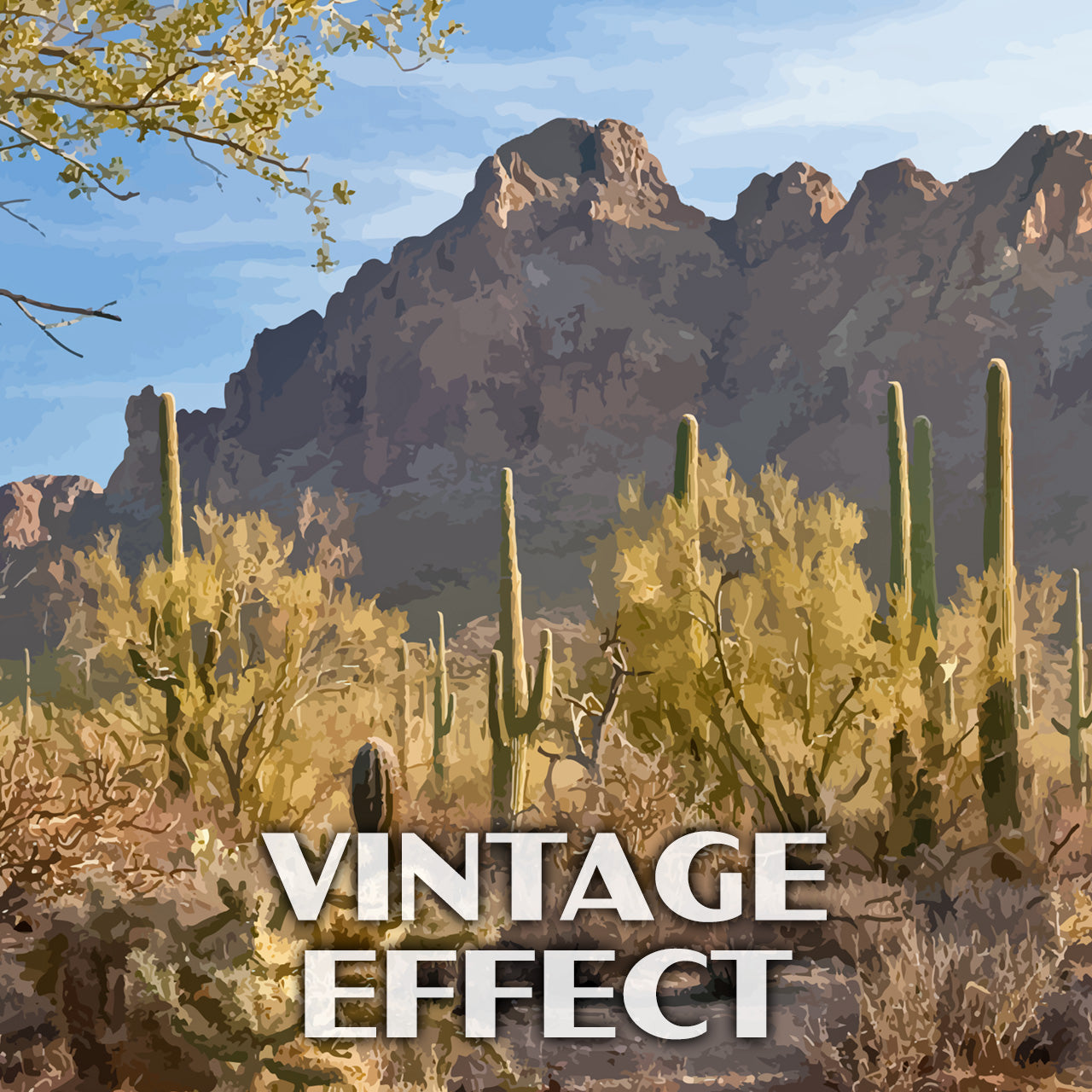 Ironwood Forest National Monument Poster-WPA (Ironwood Forest)