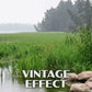 Itasca State Park Poster-WPA (Lake Itasca)