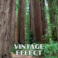 Jedediah Smith Redwoods State Park Poster-WPA