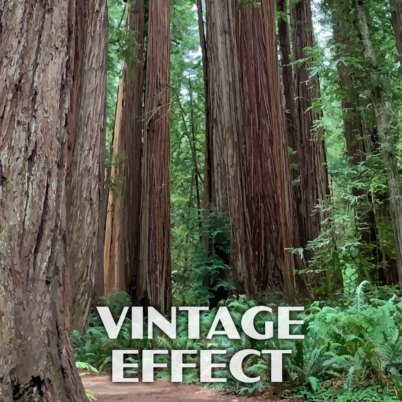 Jedediah Smith Redwoods State Park Poster-WPA