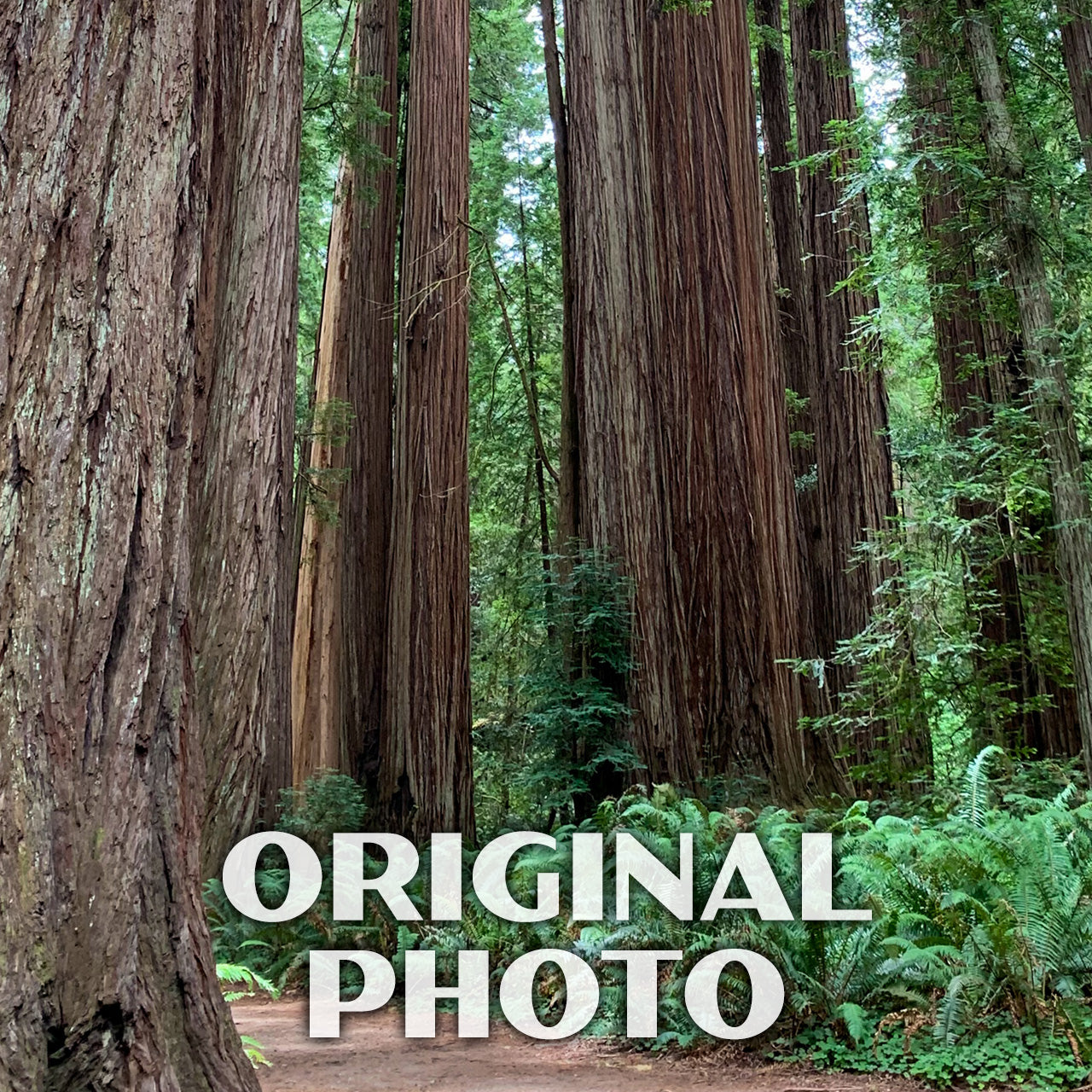 Jedediah Smith Redwoods State Park Poster-WPA