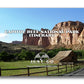 Capitol Reef National Park Itinerary (Digital Download)