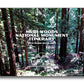 Muir Woods National Monument (with Marin Headlands) Itinerary (Digital Download)