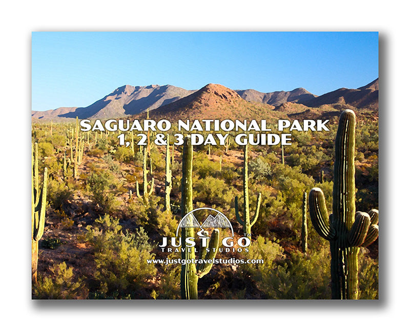 Saguaro National Park guide with cacti and mountains in the background