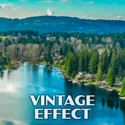 Lake Sammamish State Park Poster-WPA (Overhead View)