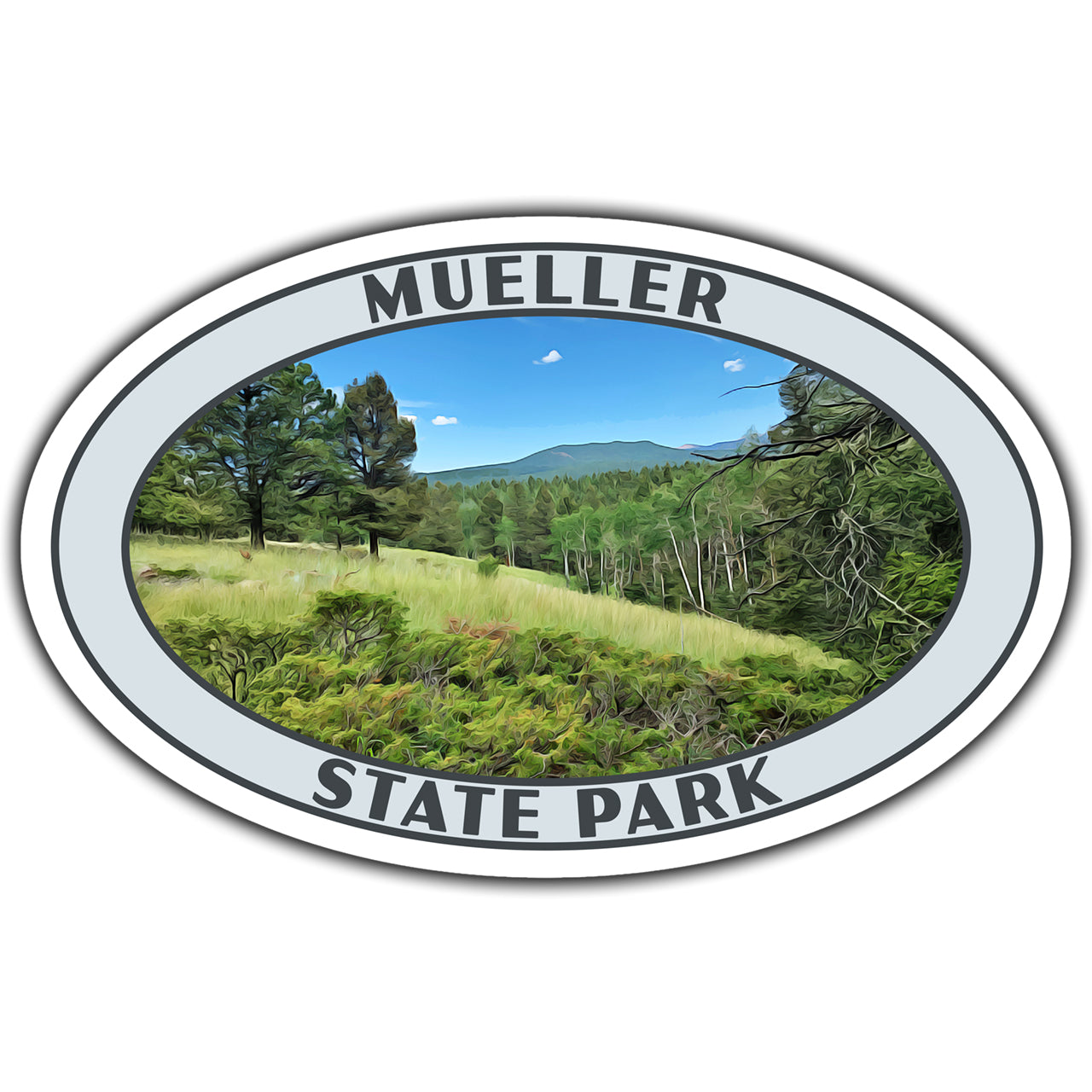 Mueller state park sticker