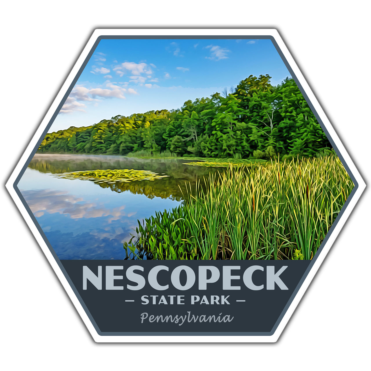 Hexagonal sticker of Nescopeck State Park with a lake and trees.