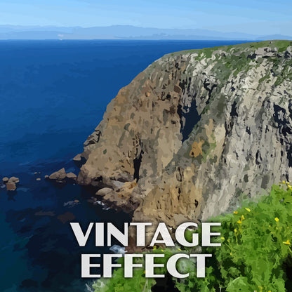 Channel Islands National Park Poster-WPA (North Bluff Trail)