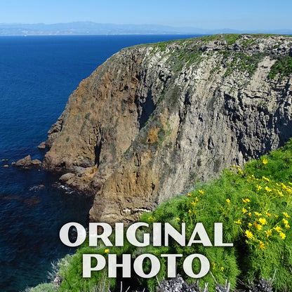 Channel Islands National Park Poster-WPA (North Bluff Trail)