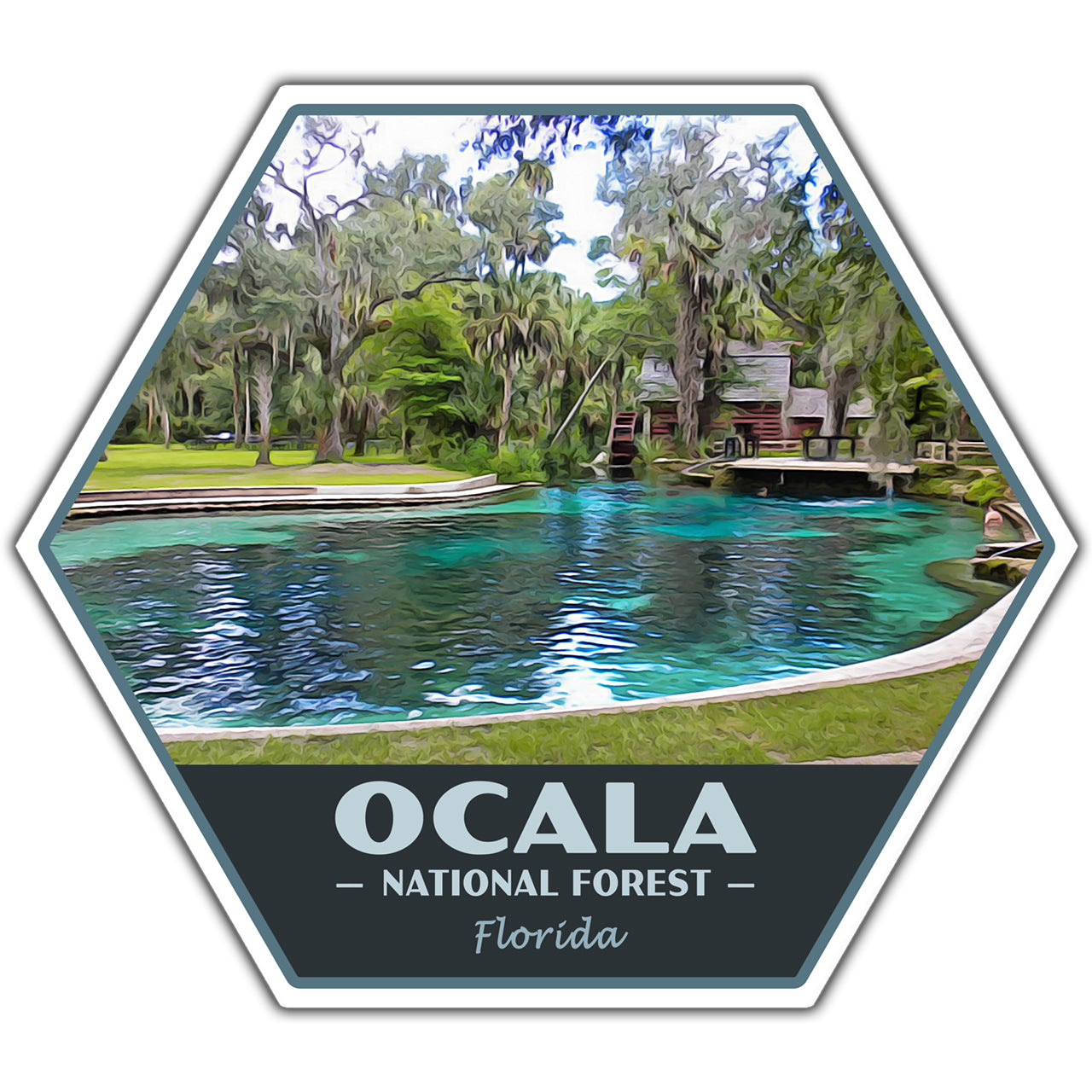 Ocala national forest sticker