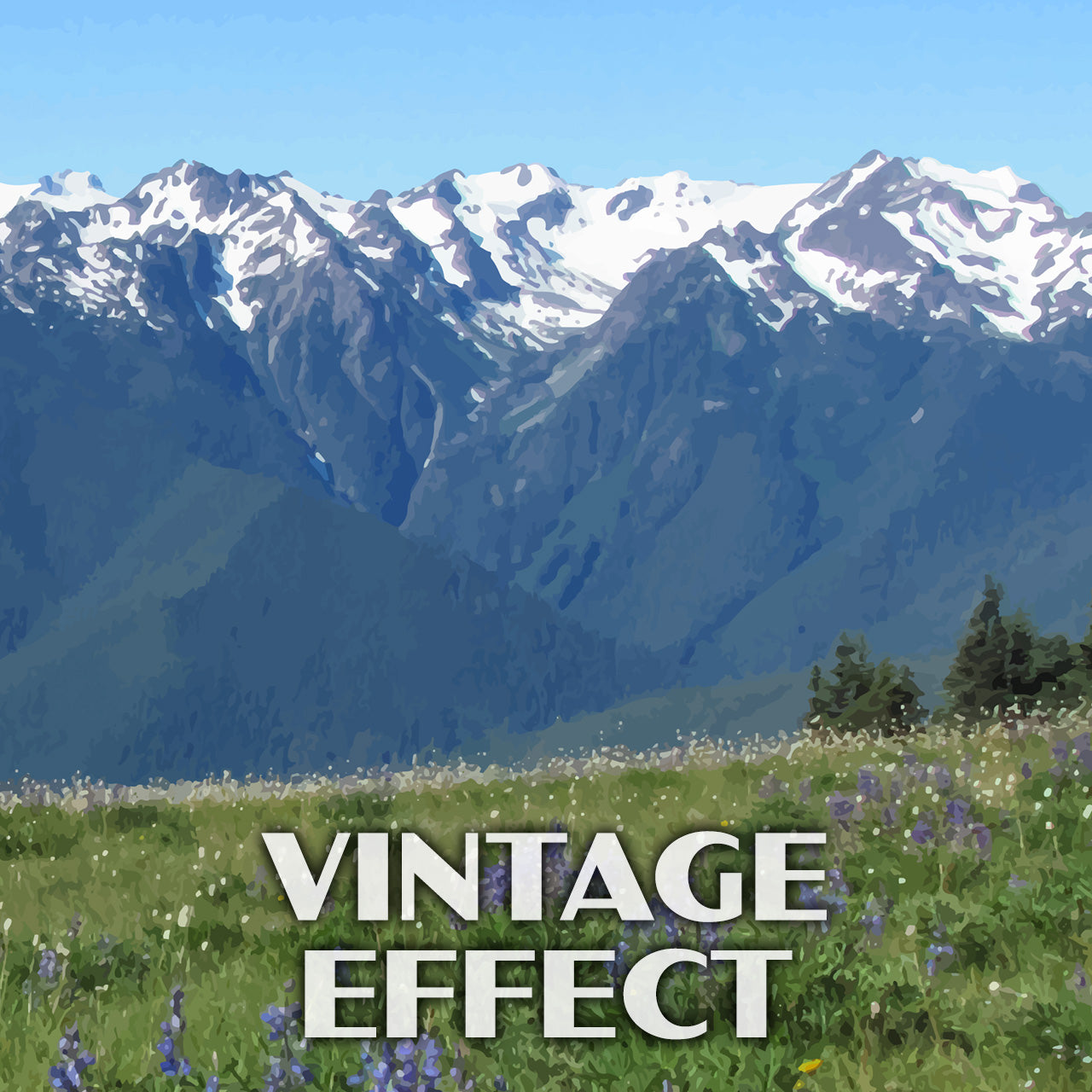 Olympic National Park Poster-WPA (Hurricane Ridge Summer)
