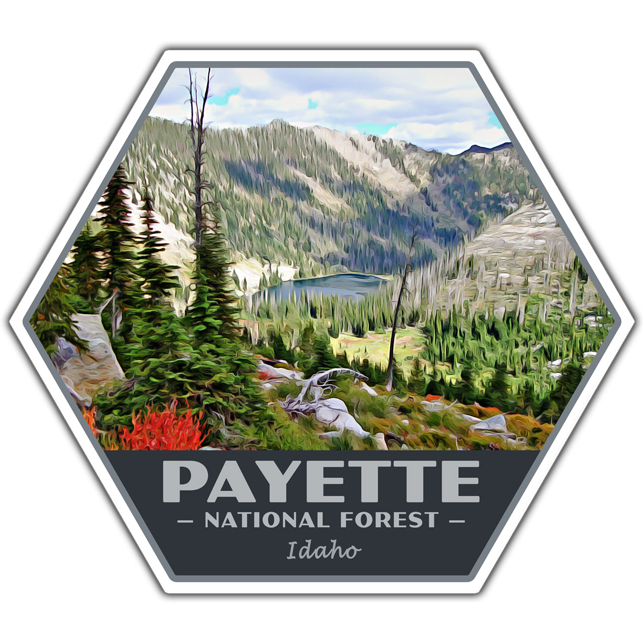 Payette national forest sticker
