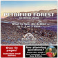 Petrified Forest National Park Itinerary (Digital Download)