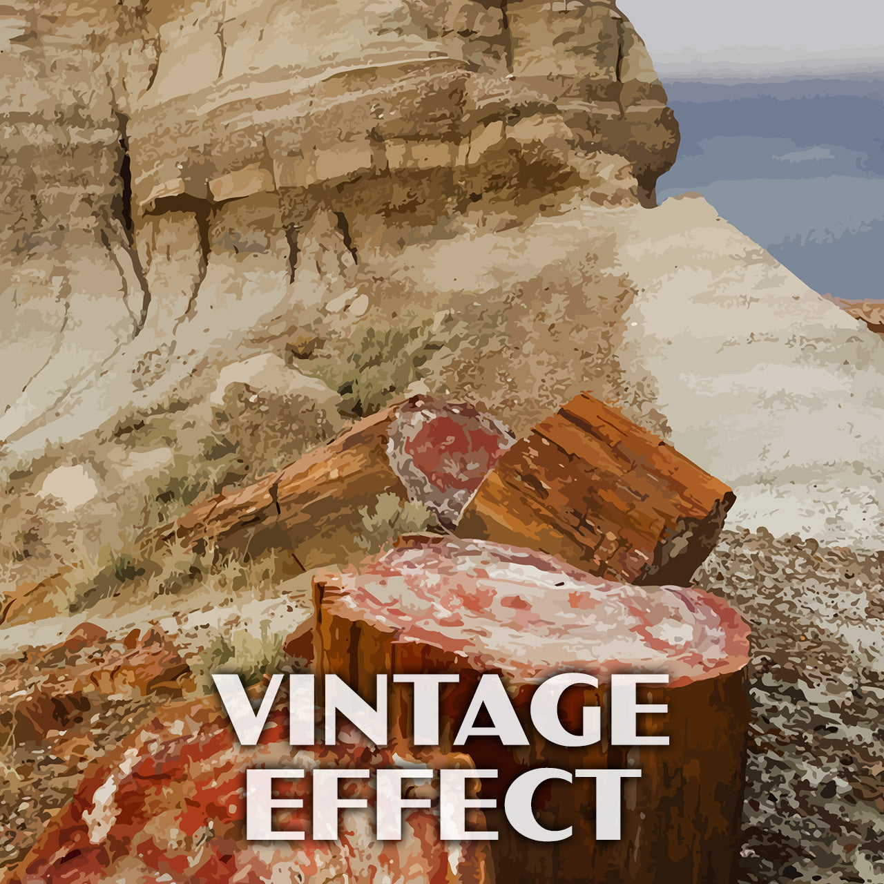 Petrified Forest National Park Poster-WPA (Petrified Wood)