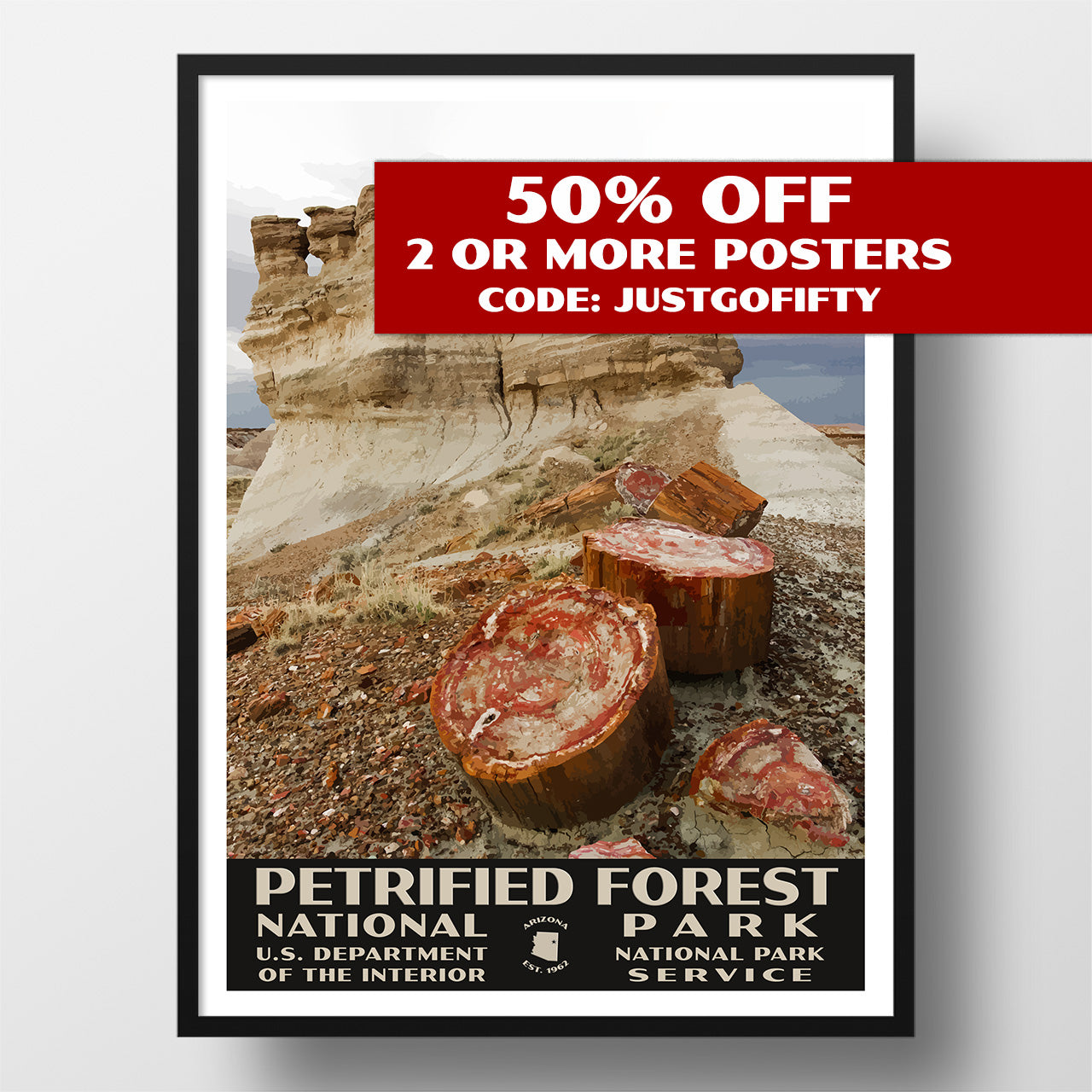Petrified Forest National Park poster