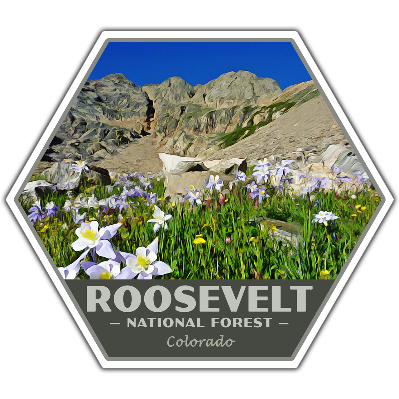 Roosevelt national forest sticker