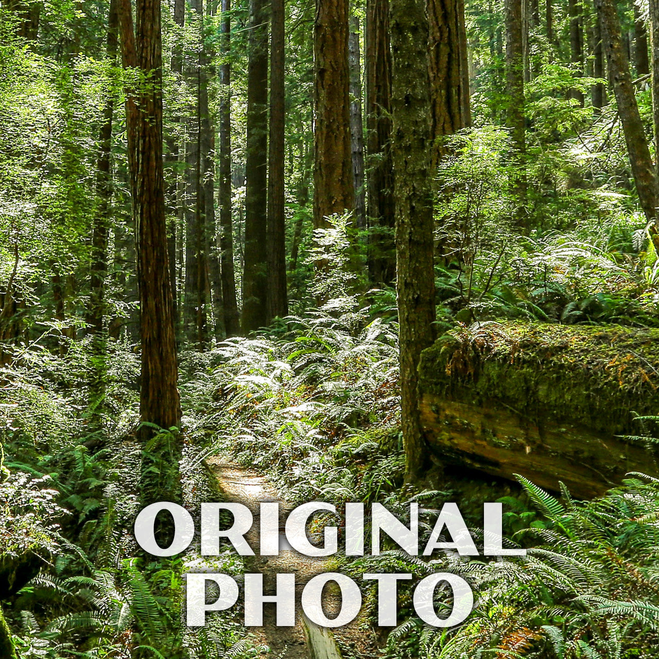 Russian Gulch State Park Poster-WPA (Forest)