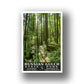 Russian Gulch State Park Poster-WPA (Forest)