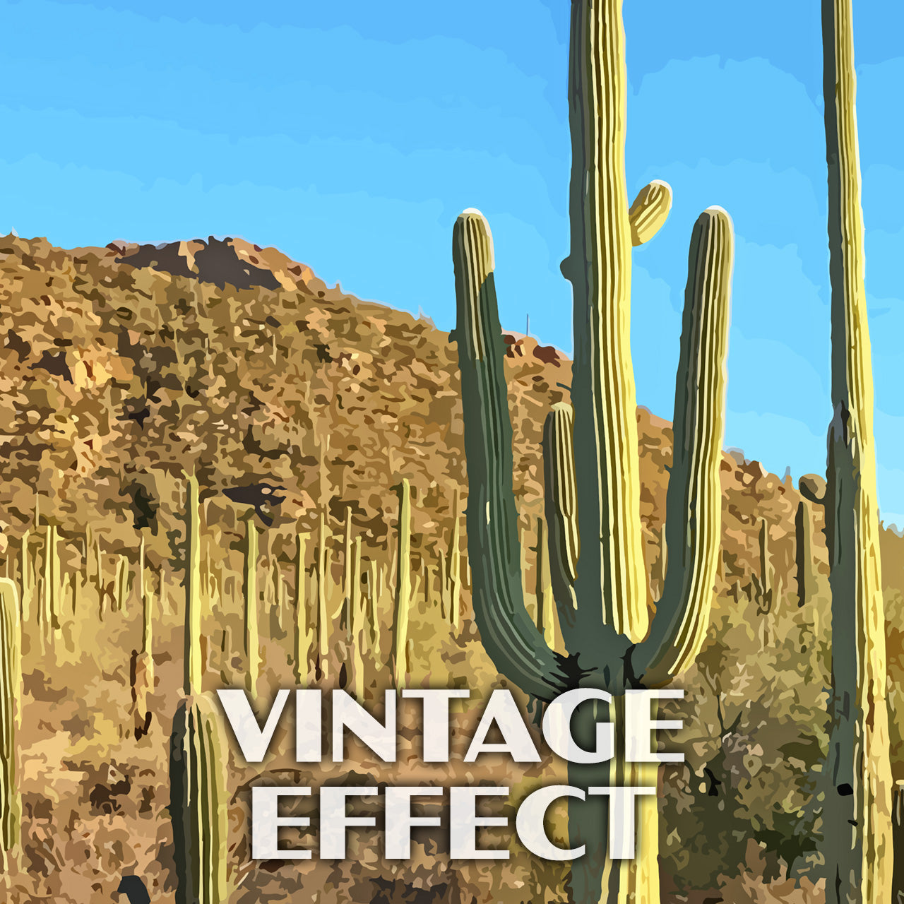 Saguaro National Park Poster-WPA