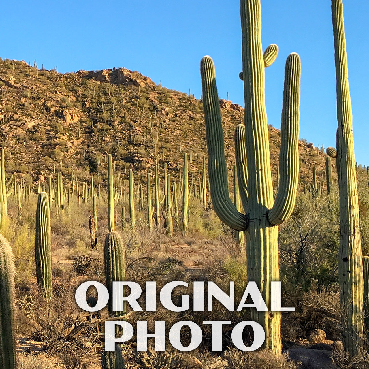 Saguaro National Park Poster-WPA